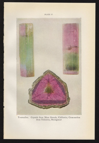 1944 smithsonian series - smithsonian,